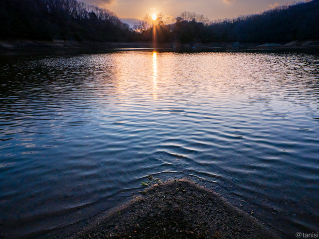 水際の夕陽