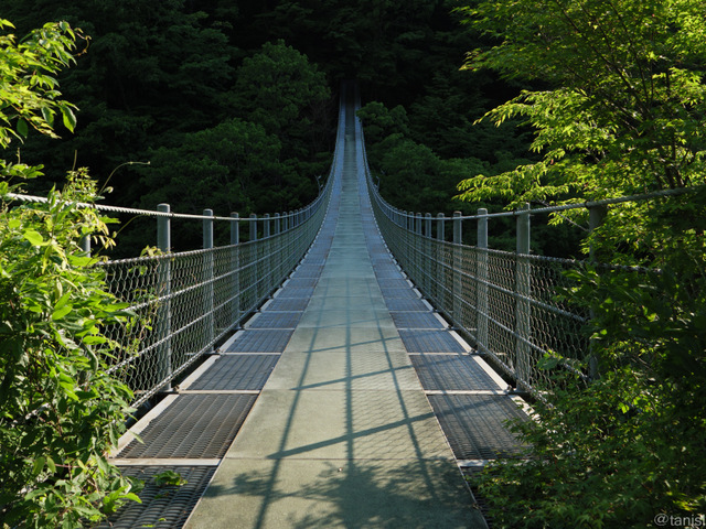 龍宮崖公園の吊り橋