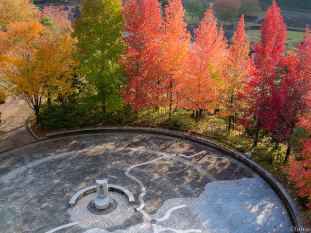 香川用水記念公園　紅葉