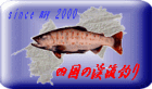 四国の渓流釣りロゴ３