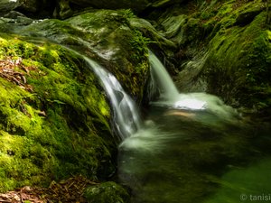 大滝上の美渓