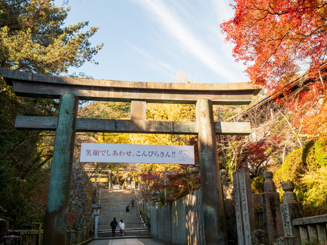 金刀比羅宮の紅葉