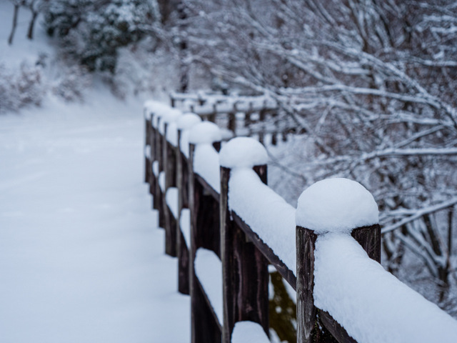 大川山　雪景色