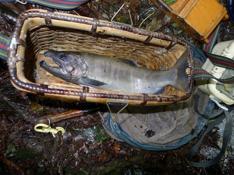 渓流釣り 竹魚籠 | 四国の渓流釣りモバイル