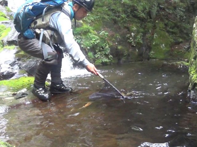 源流釣り ランディングネット 四国の渓流釣りモバイル