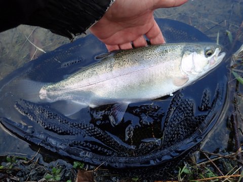 もっこく池 釣り大会前